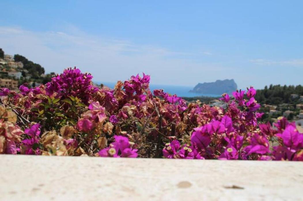 בניסה Charming Villa In Montemar With Private, Heated Pool And Sea Views מראה חיצוני תמונה