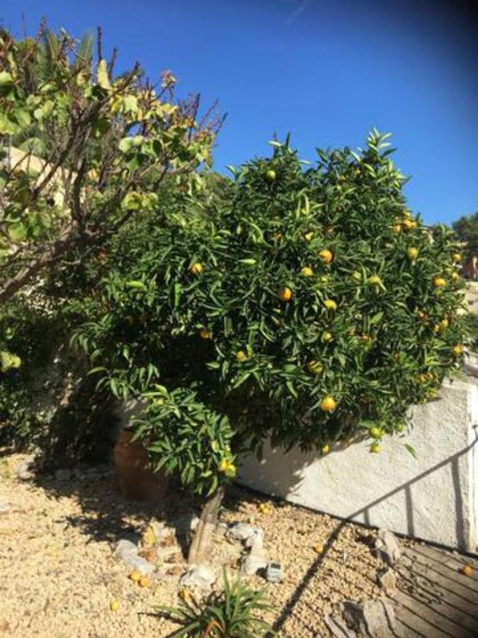 בניסה Charming Villa In Montemar With Private, Heated Pool And Sea Views מראה חיצוני תמונה